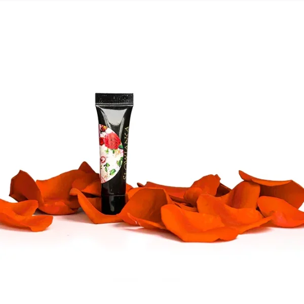 Slowianka Arter Gel Orange Paint 5g