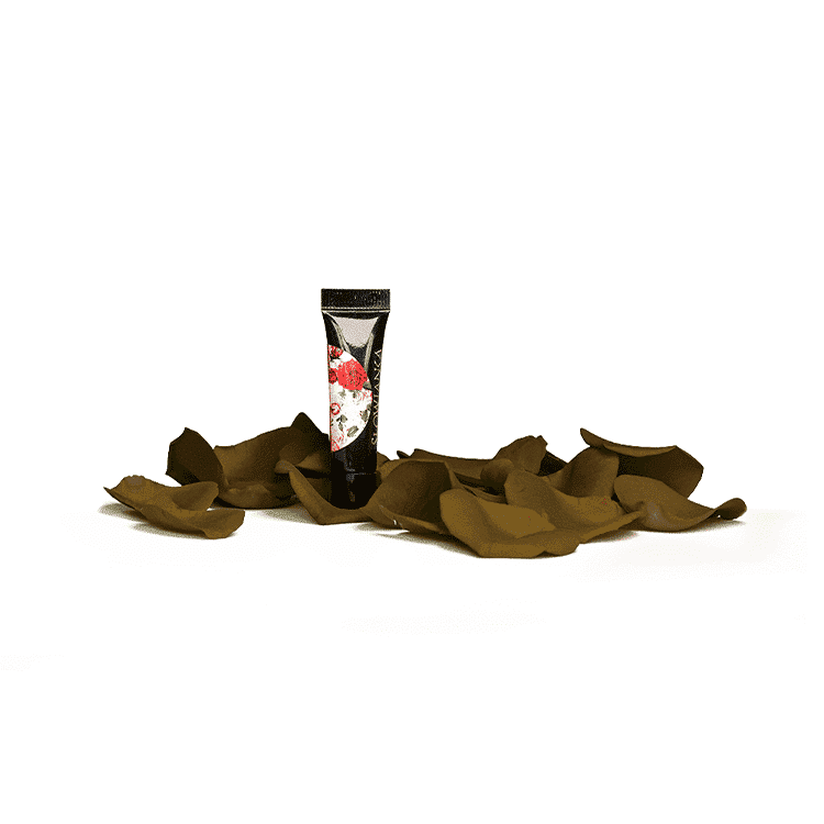 forest_brown_paint_5g Slowianka UK