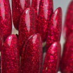 Slowianka Gel Polish 522 Cranberry Cheer 10g1